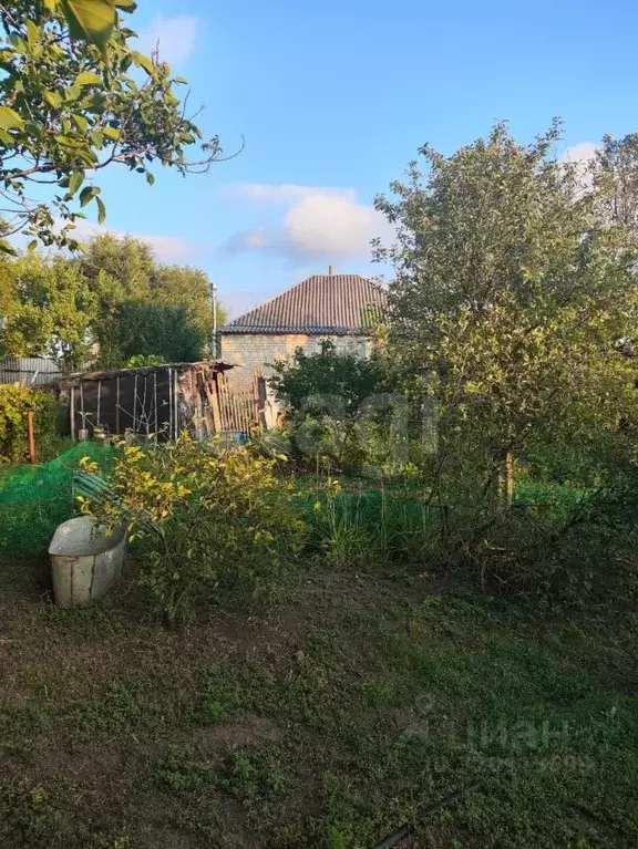 Дом в Белгородская область, Ровеньки городское поселение, Ровеньки рп ... - Фото 1