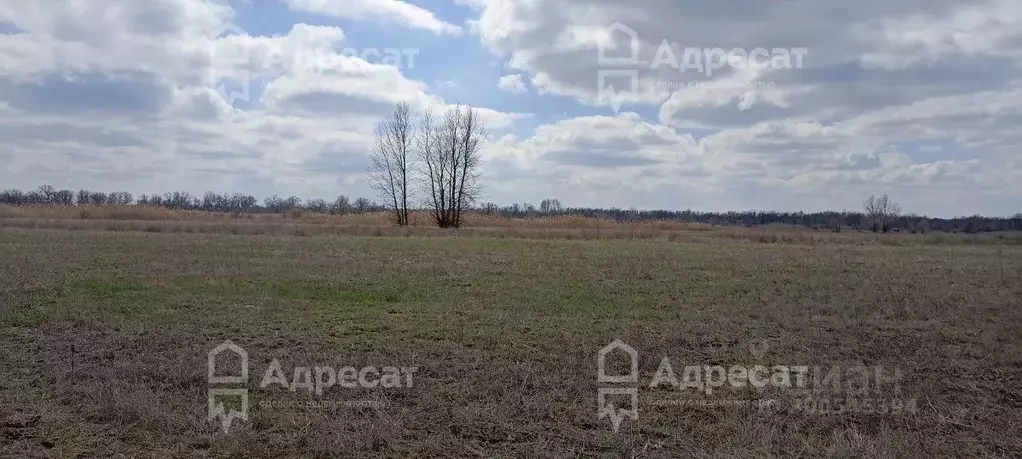 Участок в Волгоградская область, Среднеахтубинский район, Клетское ... - Фото 1