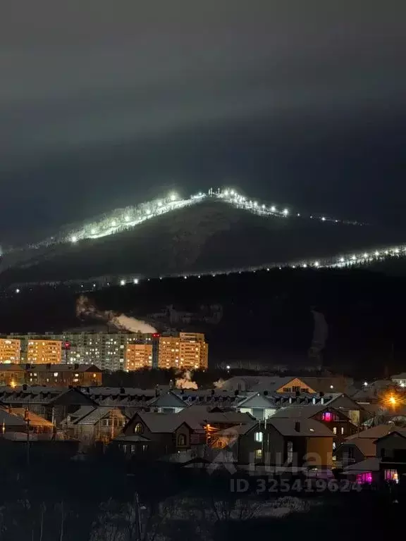 1-к кв. Сахалинская область, Южно-Сахалинск ул. Имени И.П. ... - Фото 2