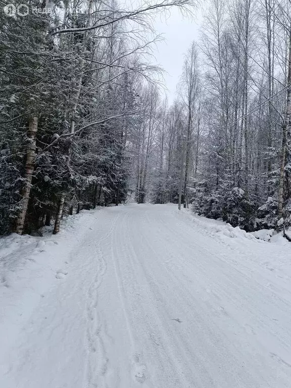 Участок в деревня Мендсары, 2-я Садовая улица, 30 (15 м) - Фото 1
