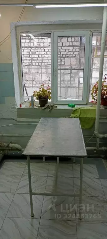 Производственное помещение в Астраханская область, Астрахань пер. ... - Фото 2