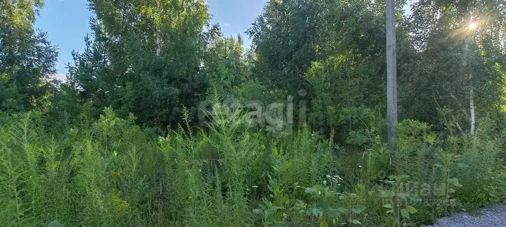 Участок в Липецкая область, Липецк Радужный кп,  (10.2 сот.) - Фото 1