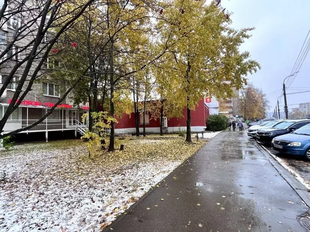 Офис в Удмуртия, Ижевск Молодежная ул., 87 (107 м) - Фото 2