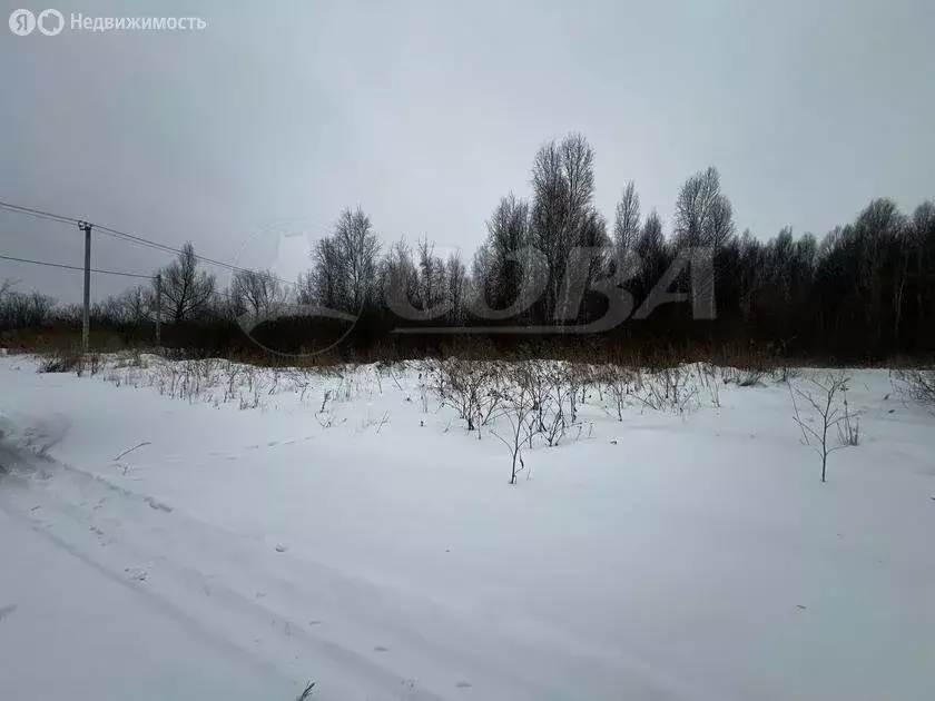 Участок в Тюменский район, село Борки (10.4 м) - Фото 1