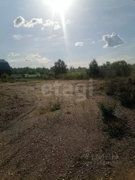 Участок в Амурская область, Благовещенский район, Станичное тер.  ... - Фото 1