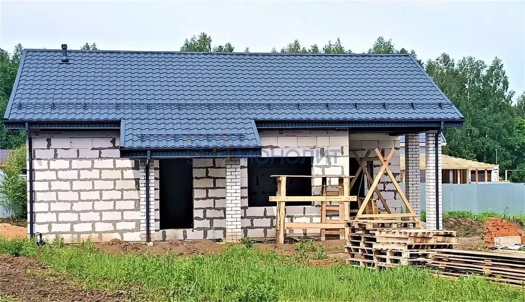 Дом в Нижегородская область, Богородский муниципальный округ, д. ... - Фото 0