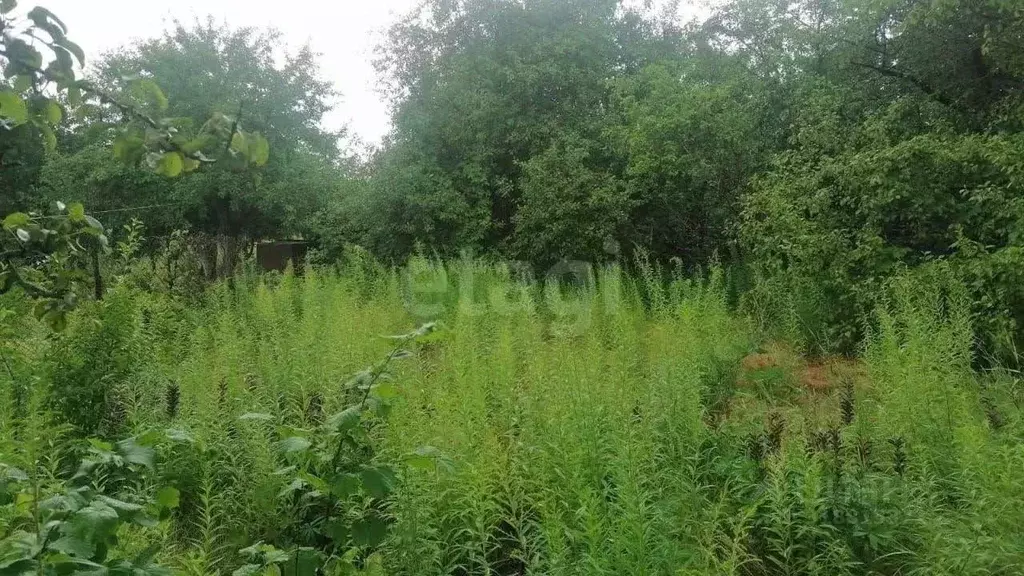 Участок в Воронежская область, Воронеж Завода радиодеталей СНТ,  (6.0 ... - Фото 1