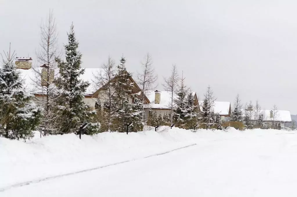 Участок в Московская область, Электроугли Богородский городской округ, ... - Фото 1