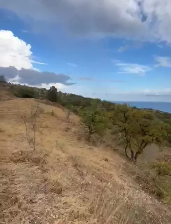 Участок в Крым, Алушта муниципальный округ, с. Приветное  (5.0 сот.) - Фото 1