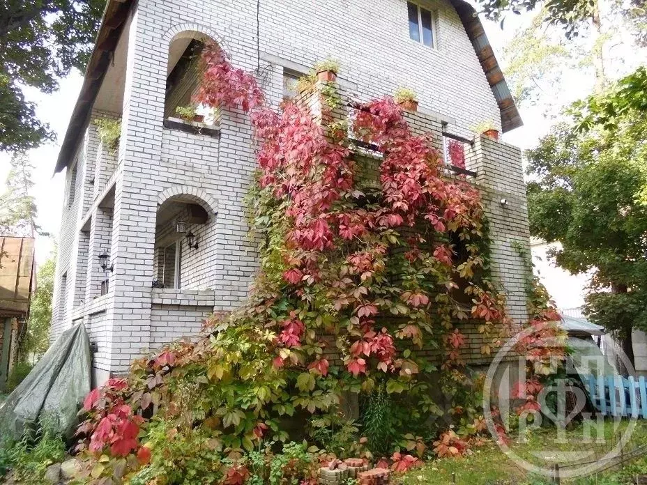 Дом в Санкт-Петербург пос. Лисий Нос, Высокая ул. (260 м) - Фото 1