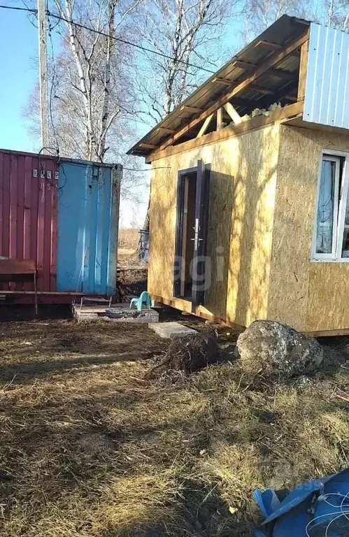 Участок в Тюменская область, Тюмень Царево садовое товарищество, ул. ... - Фото 1