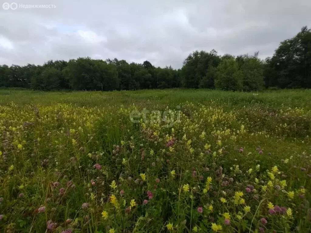 Участок в Елизовский район, село Северные Коряки (15 м) - Фото 0