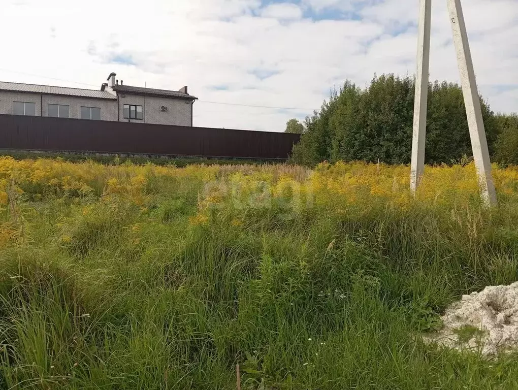 Участок в Новые Дарковичи, СДТ Болва (6 м) - Фото 1