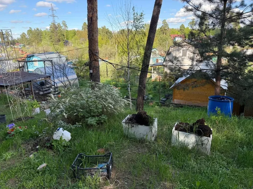 Участок в Татарстан, Казань Сад № 2 ОАО Казанский Вертолетный Завод ... - Фото 2