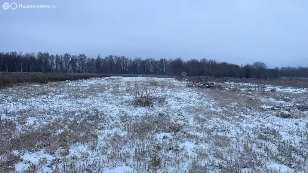 Участок в Тульская область, муниципальное образование Тула, село ... - Фото 0