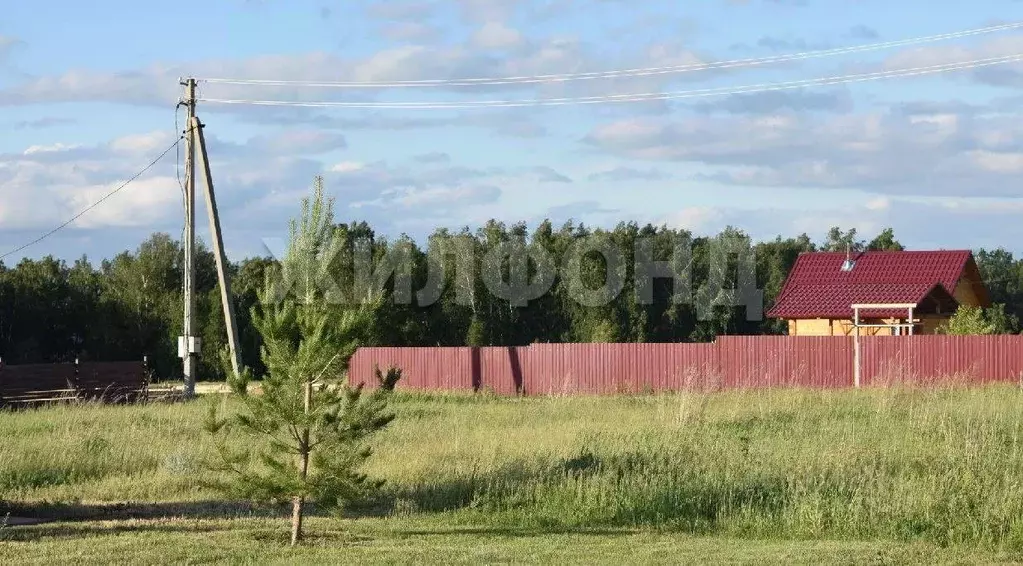 Участок в Новосибирская область, Искитимский район, с. Быстровка  ... - Фото 1