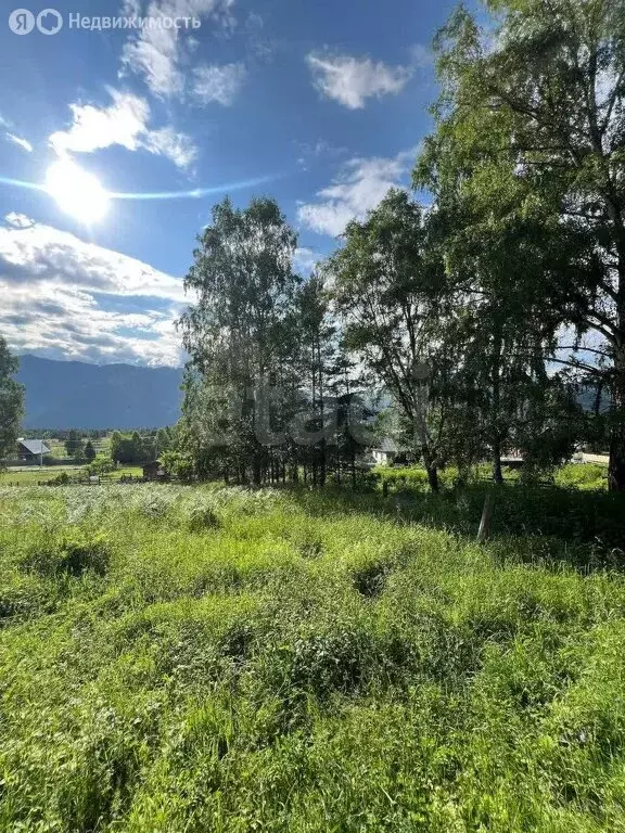 Участок в Чемальский район, посёлок Усть-Сема (7.5 м) - Фото 0