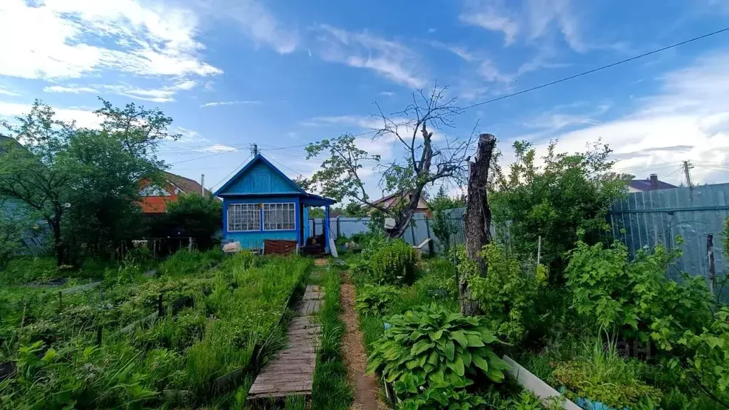 Участок в Московская область, Клин городской округ, Мичуринец садовое ... - Фото 1