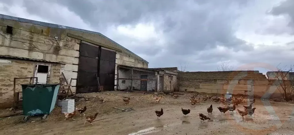 Склад в Крым, Сакский район, Суворовское с/пос, с. Желтокаменка ул. ... - Фото 2