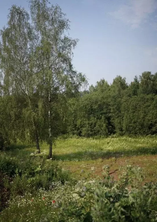 Участок в Московская область, Истра муниципальный округ, д. Кашино ул. ... - Фото 2