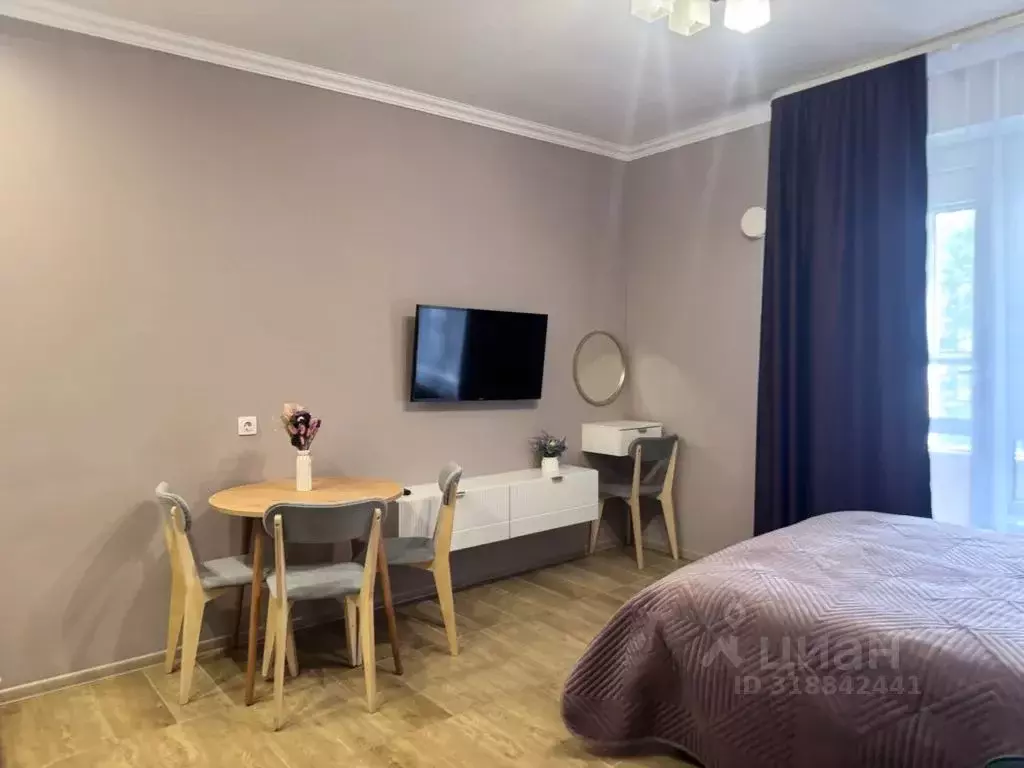 Студия Санкт-Петербург Ушаковская наб., 1к3 (27.0 м) - Фото 0