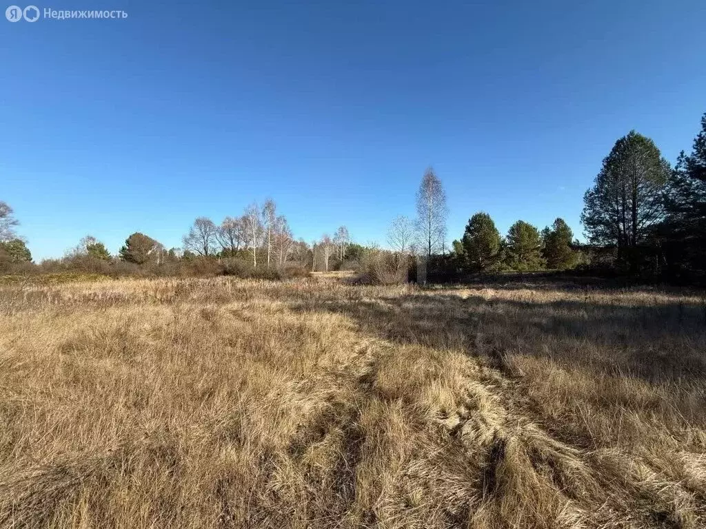 Участок в Республика Мордовия, городской округ Саранск, посёлок ... - Фото 2