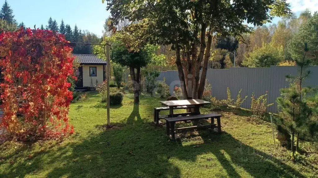 Участок в Московская область, Можайский муниципальный округ, Химик СНТ ... - Фото 1