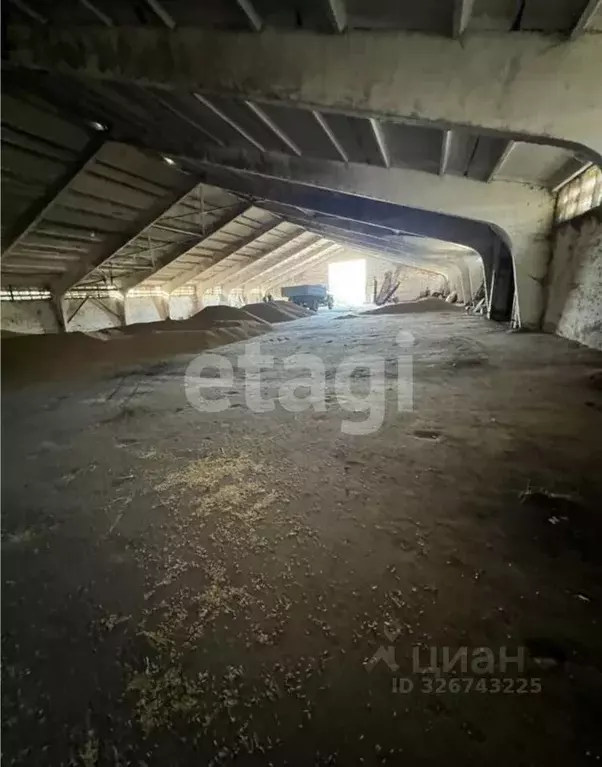 Склад в Тульская область, Алексин городской округ, д. Борисово  (1786 ... - Фото 1