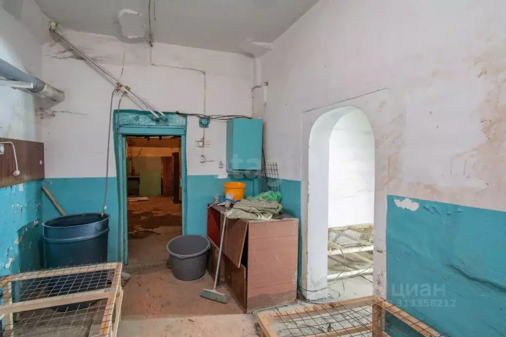 Помещение свободного назначения в Кемеровская область, Новокузнецк ул. ... - Фото 0