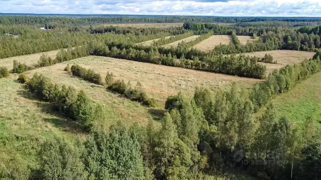 Участок в Ленинградская область, Выборгский район, Советское городское ... - Фото 1