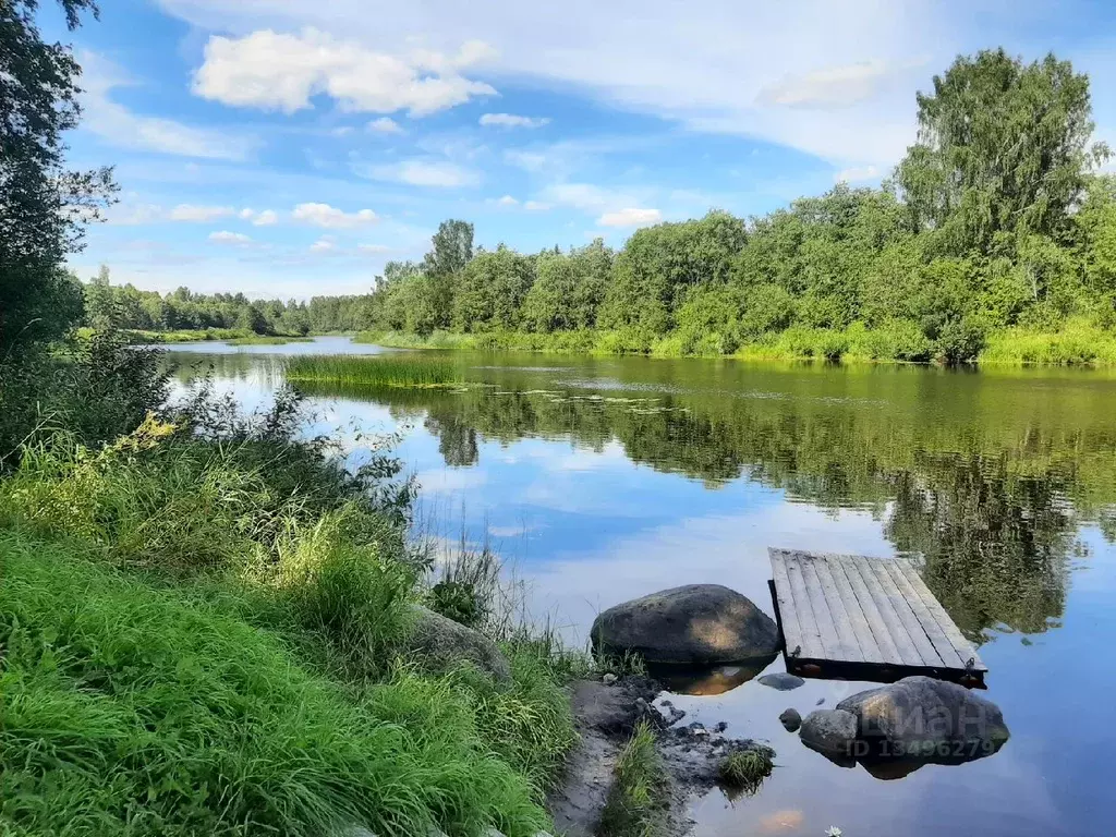 Участок в Вологодская область, Кадуйский муниципальный округ, пос. ... - Фото 0