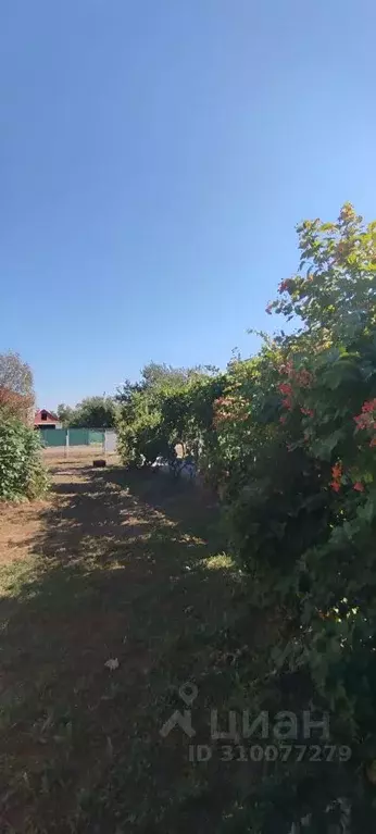 Дом в Краснодарский край, Кущевская ст-ца ул. Вишневая, 4кв2 (80 м) - Фото 2