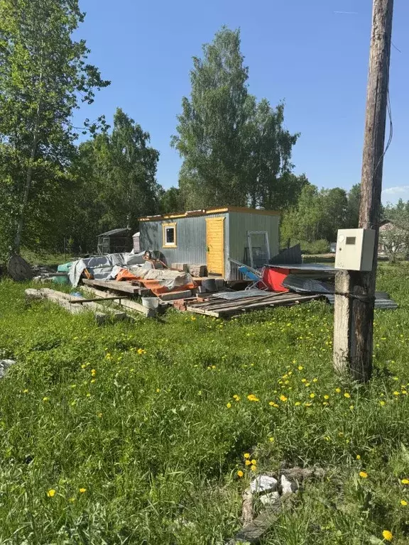 Участок в Тверская область, Калининский муниципальный округ, Эдельвейс ... - Фото 1