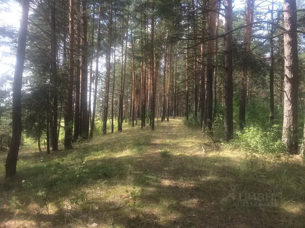 Участок в Тверская область, Калининский муниципальный округ, д. Старое ... - Фото 1