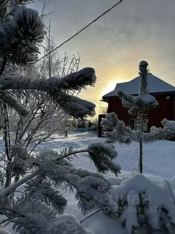 Дом в Ярославская область, Ярославский муниципальный округ, д. ... - Фото 1
