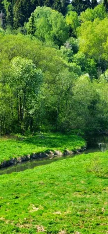 Участок в Московская область, Дмитровский муниципальный округ, д. ... - Фото 2