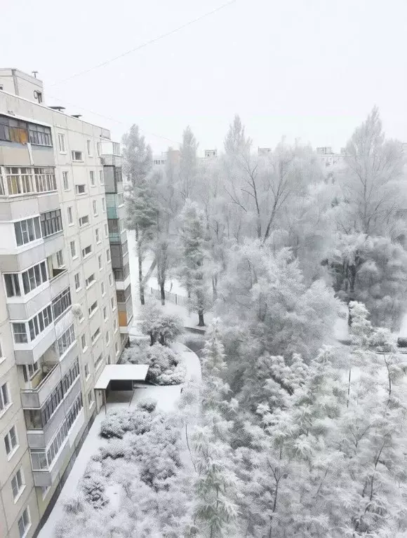 1-к кв. Ярославская область, Ярославль Волгоградская ул., 59 (30.2 м) - Фото 1