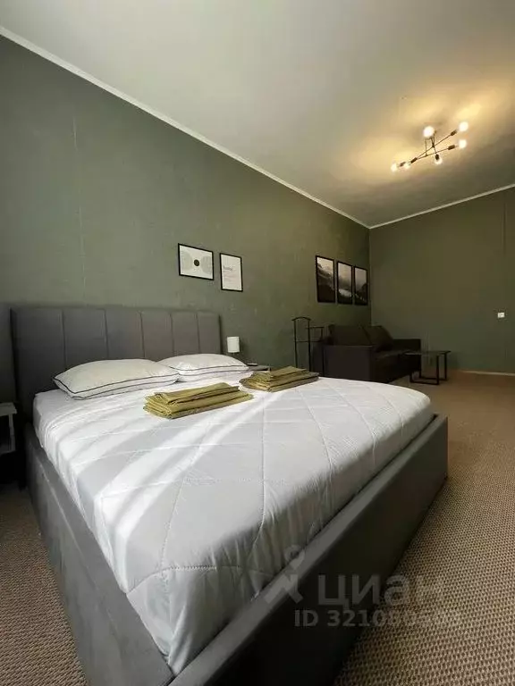 1-к кв. Нижегородская область, Нижний Новгород ул. Белинского, 11/66 ... - Фото 1