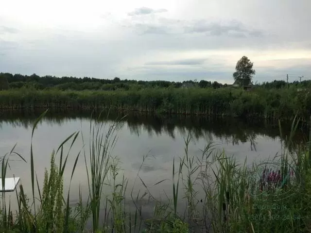 Участок в Колыванский район, садовое некоммерческое товарищество ... - Фото 0