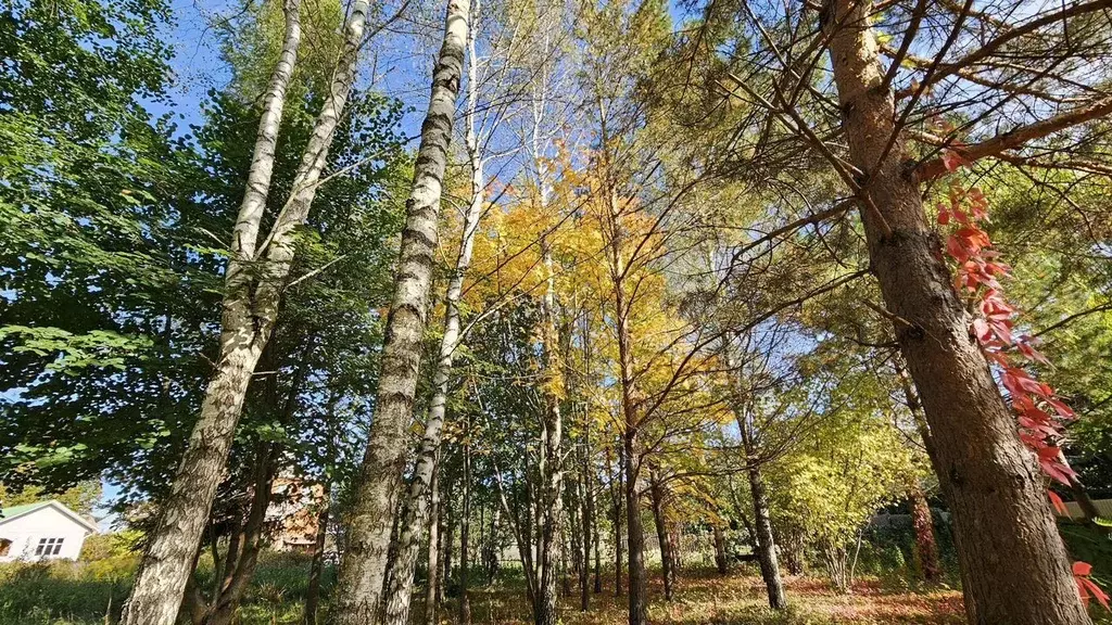Участок в Московская область, Одинцовский городской округ, Хуторок ... - Фото 1
