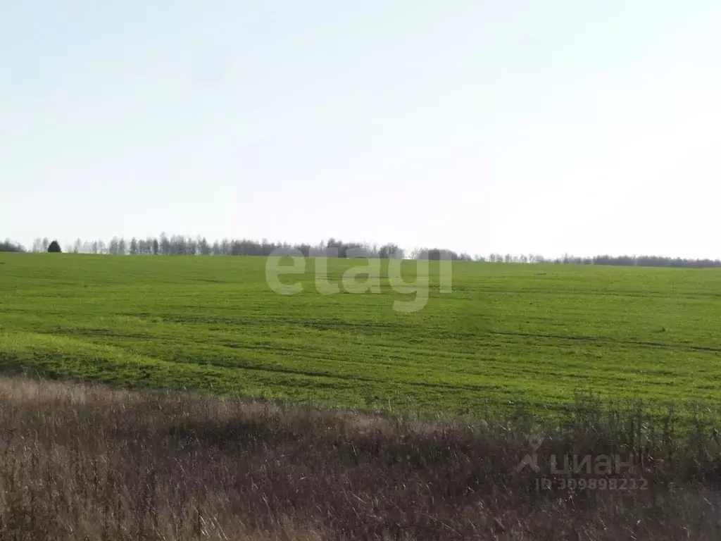 Участок в Ярославская область, Гаврилов-Ямский район, Великосельское ... - Фото 1