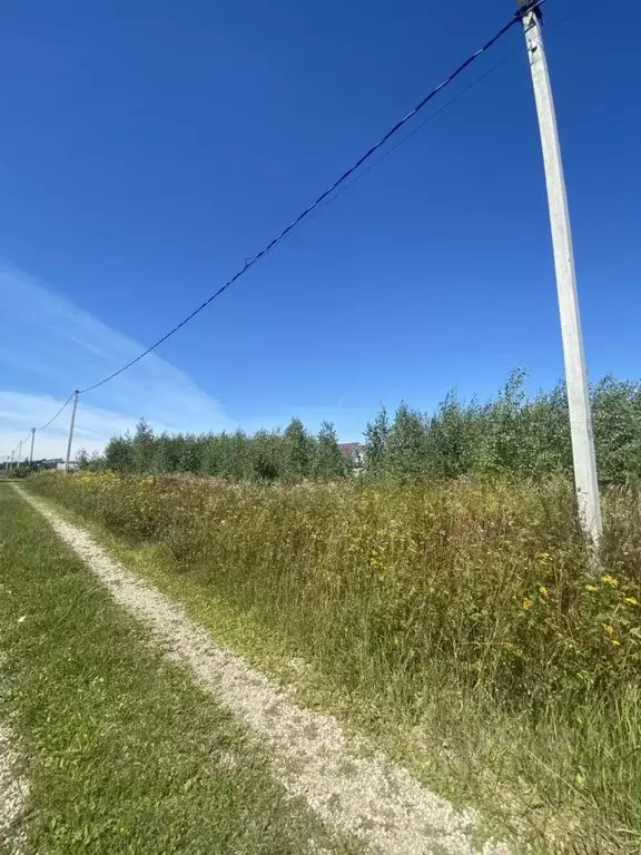 Участок в Московская область, Ступино городской округ, Лисичкино СНТ ... - Фото 1