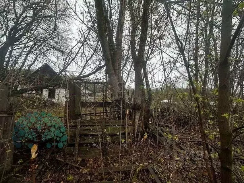 Участок в Самарская область, Самара 17-й Пригородного лесничества ... - Фото 1
