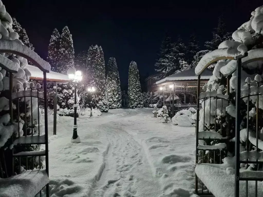 Дом в Новгородская область, Новгородский район, Трубичинское с/пос, д. ... - Фото 1