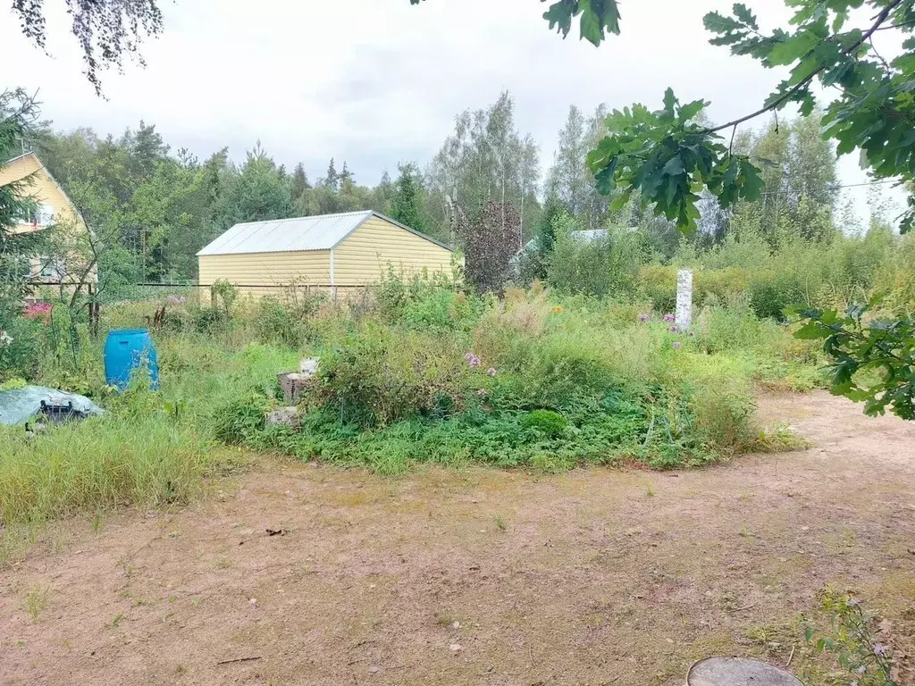 Участок в Ленинградская область, Выборгский район, Рощинское городское ... - Фото 1