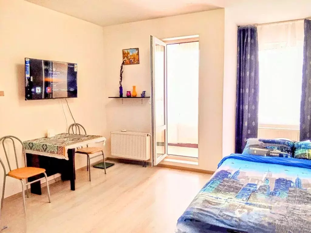 Студия Санкт-Петербург просп. Буденного, 23к5 (28.0 м) - Фото 1