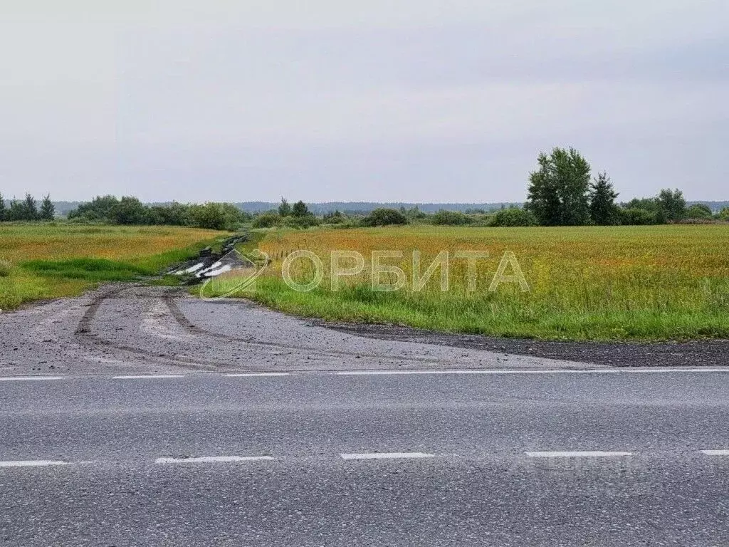 Участок в Тюменская область, Тюменский муниципальный округ, д. ... - Фото 2