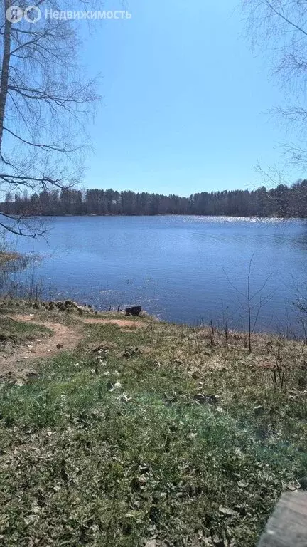 Участок в Новгородская область, Демянский муниципальный округ, деревня ... - Фото 1