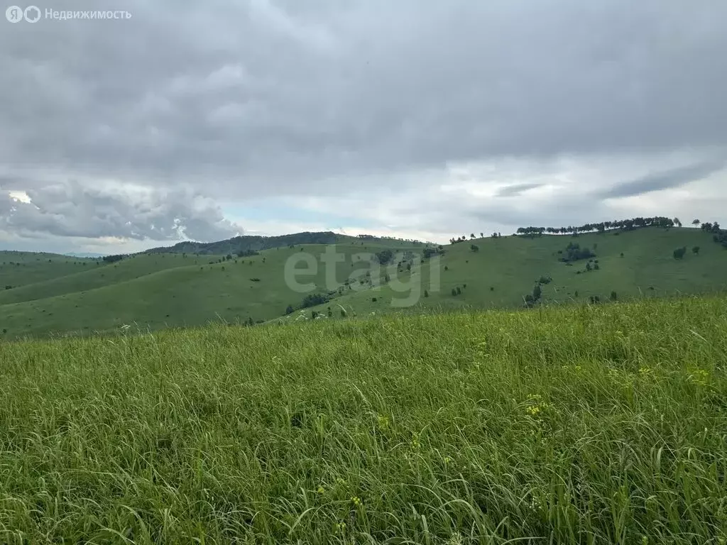 Участок в Алтайский район, ДНТ Жемчужина Алтая (10.5 м) - Фото 2