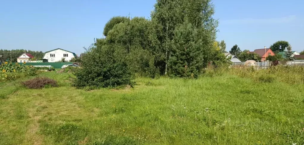 Участок в Московская область, Орехово-Зуевский городской округ, д. ... - Фото 1